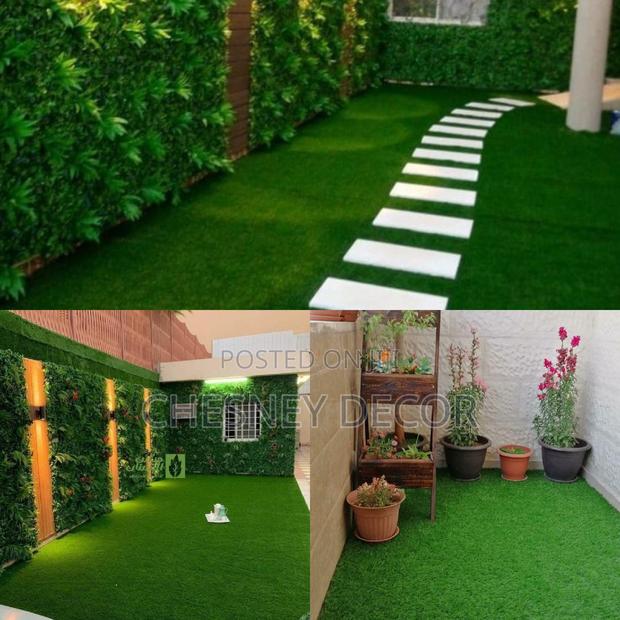 Carpet Grass Carpet Green Grass Carpet Grass Carpet