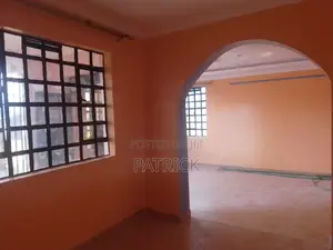 Interior and Exterior House Painter
