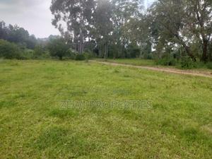 6 Acre's Karen - thumbnail 2