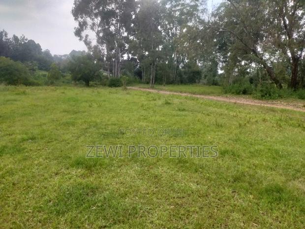 6 Acre's Karen - main view