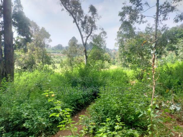 6 Acre's Karen - thumbnail 2