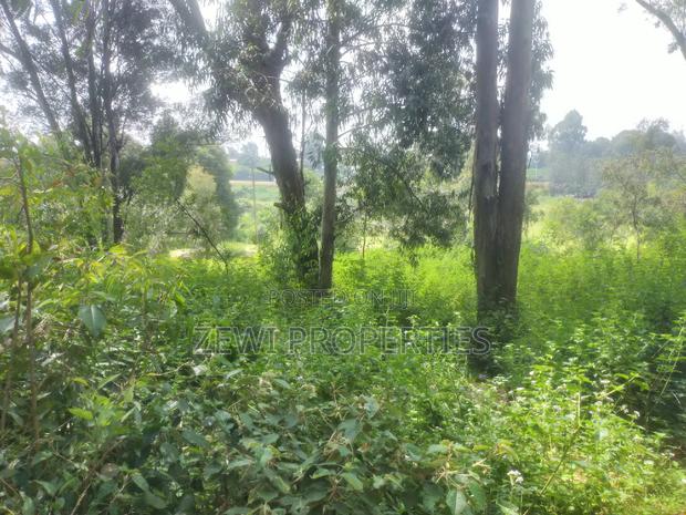 6 Acre's Karen - thumbnail 3