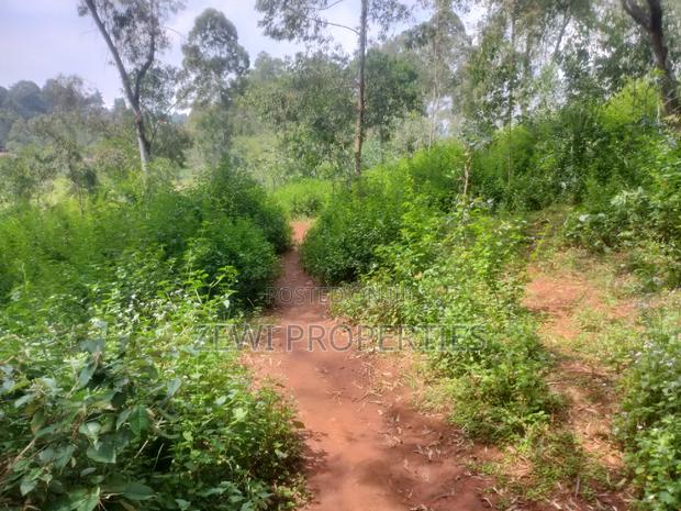 6 Acre's Karen - thumbnail 4