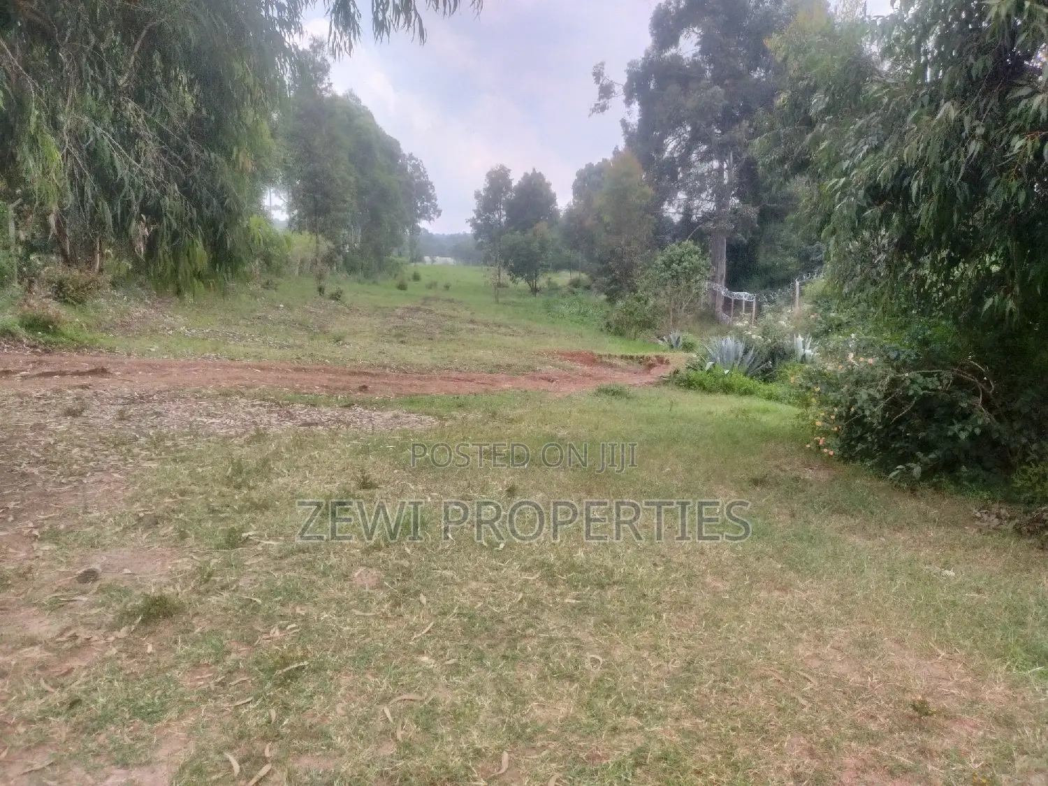 6 Acre's Karen