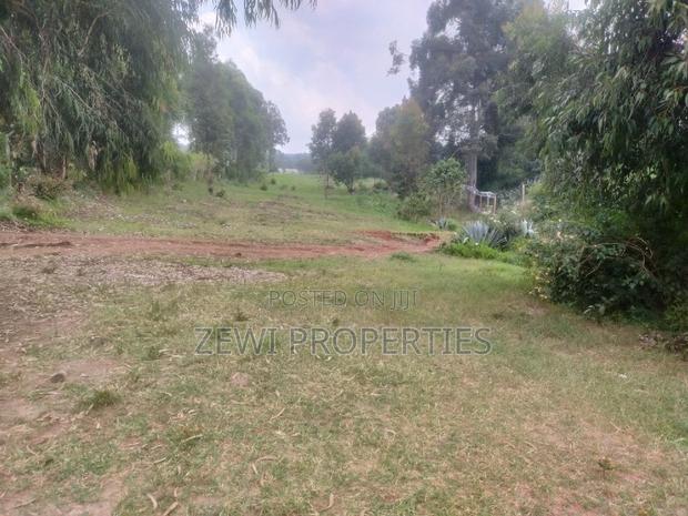 6 Acre's Karen - thumbnail 5