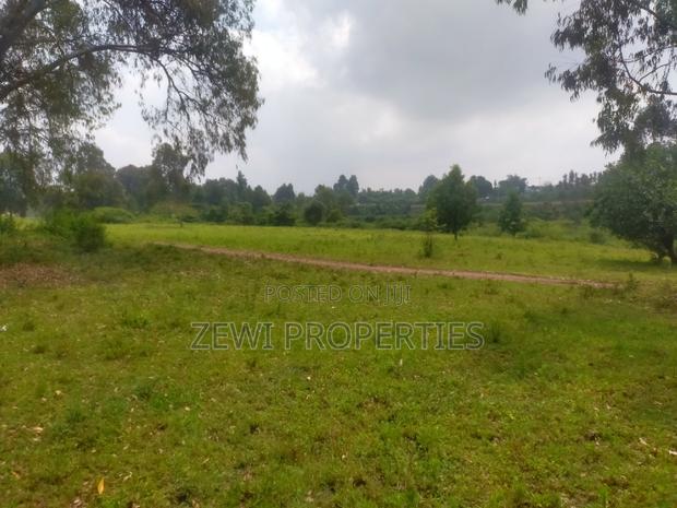 6 Acre's Karen - thumbnail 6