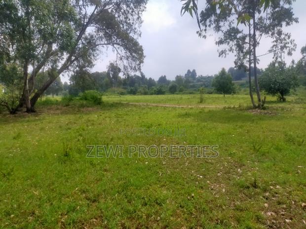 6 Acre's Karen - thumbnail 7