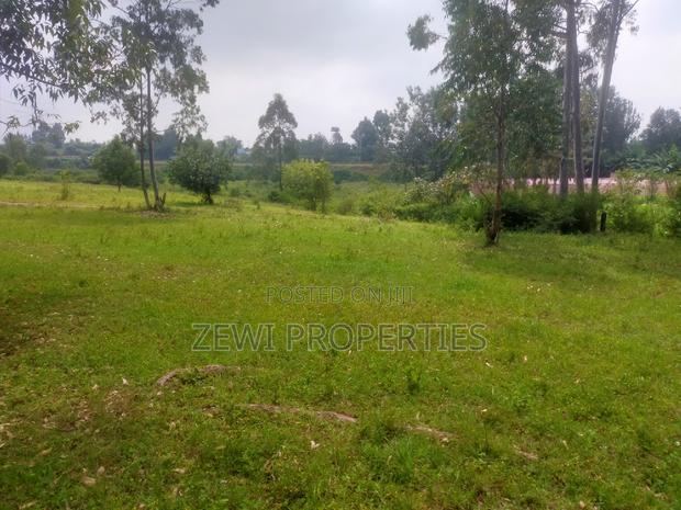 6 Acre's Karen - thumbnail 8