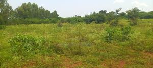 Bondo Ndira - thumbnail 2