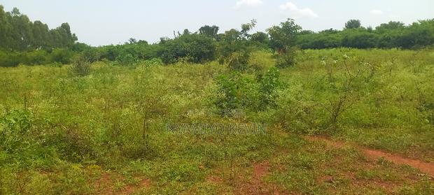 Bondo Ndira - thumbnail 3