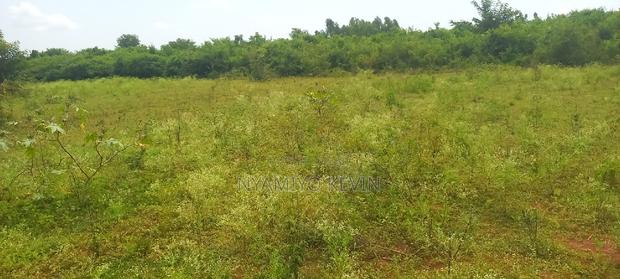 Bondo Ndira - thumbnail 4