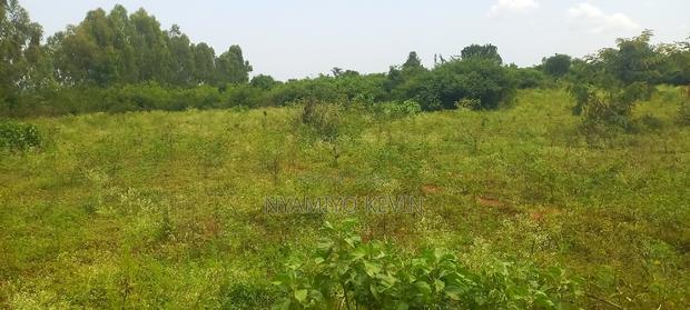 Bondo Ndira - thumbnail 5