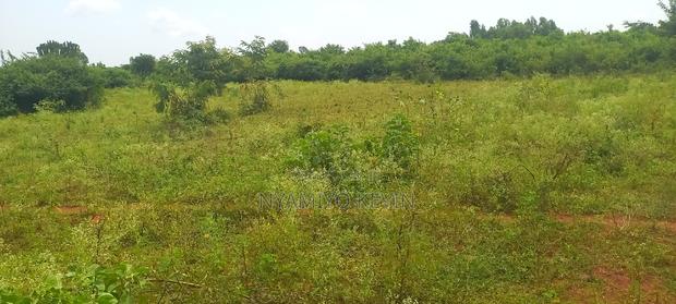 Bondo Ndira - thumbnail 6