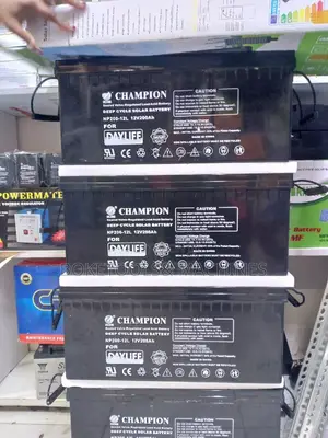 200ah Champion Battery