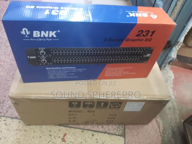 BNK 231 2 Way 31 Band Width Equalizer - main view