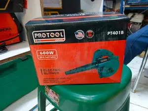 Electric Blower 600watts