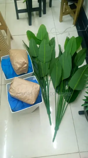 1.2m Banana Plant and Vase