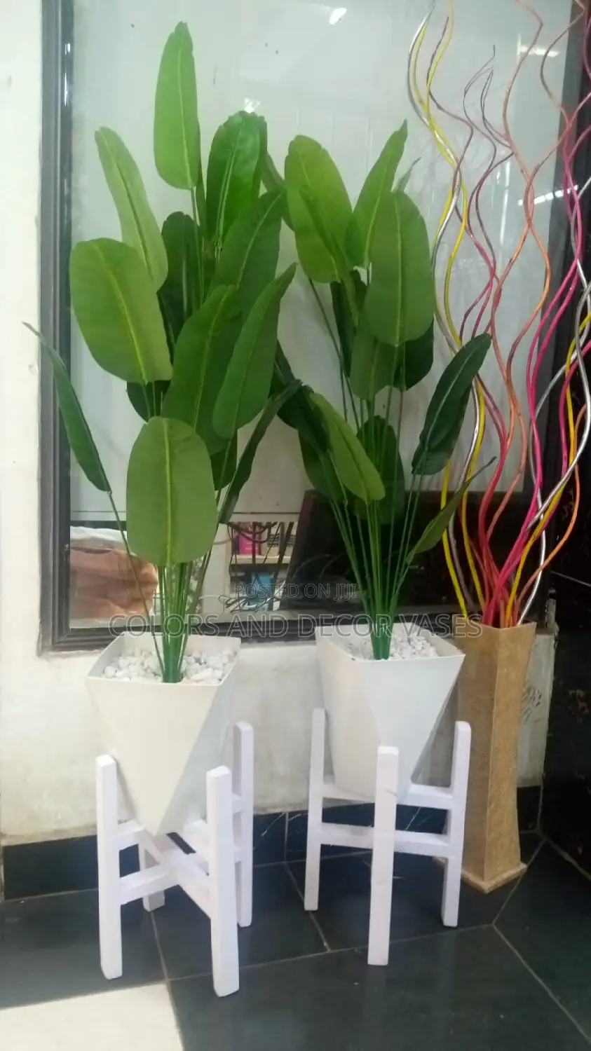 Banana Plants With Stands