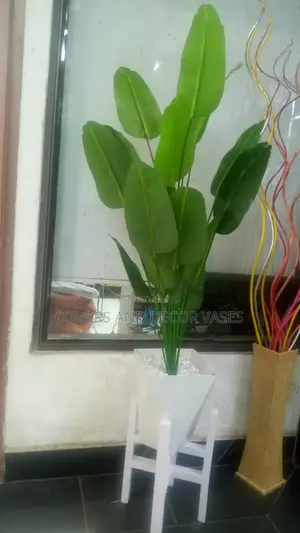 1.2m Banana Plant and Vase KSH 