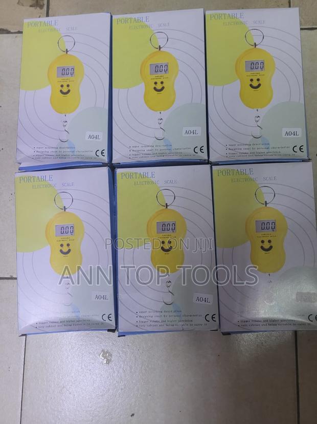 Portable 50kg Hanging Scale - main view