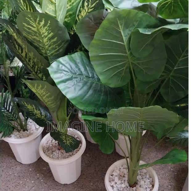 Artificial Green Plants