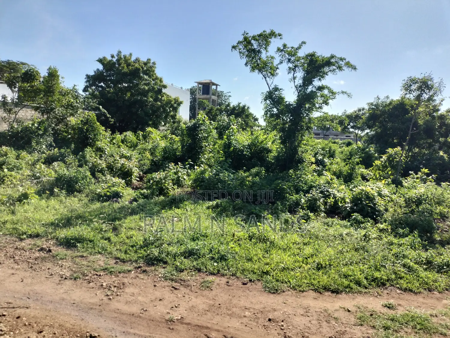 Prime Plot in Baobab Diani