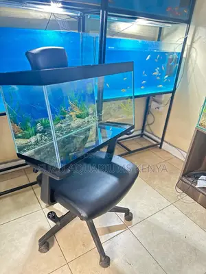 Complete Aquarium With Fish and Equipment