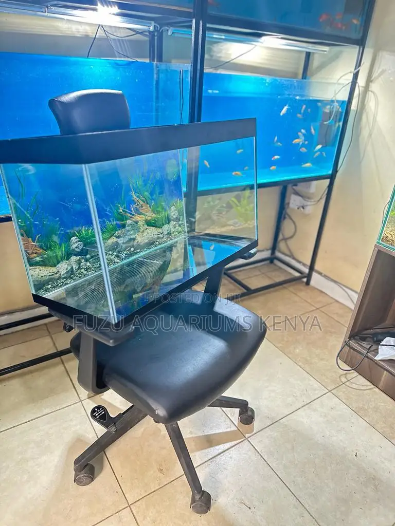 Complete Aquarium With Fish and Equipment