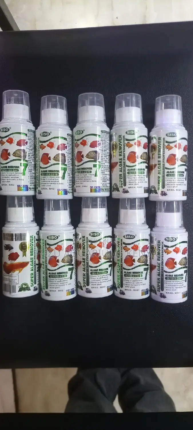 Aquarium Green Water Treatment