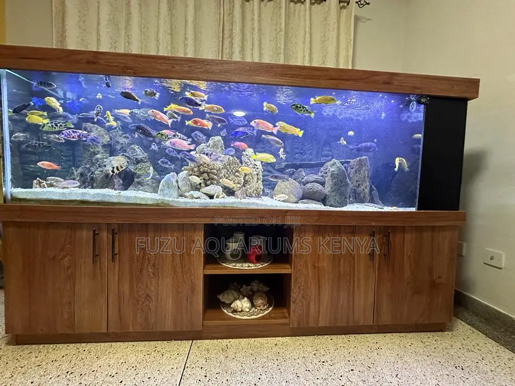 Big Colourful Aquarium With Fish