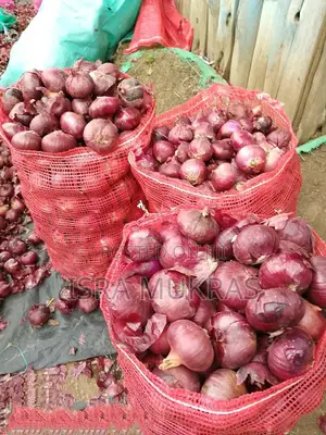 Red Bulb Onions
