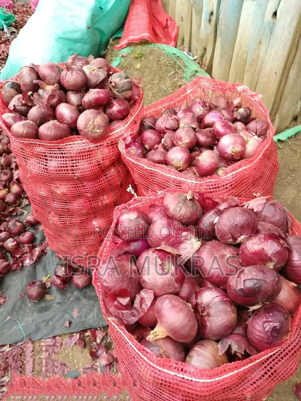 Red Bulb Onions