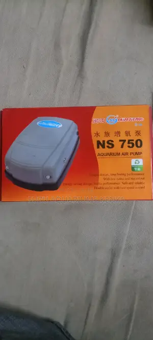 Double Nozzle Airpump - Two Outlet