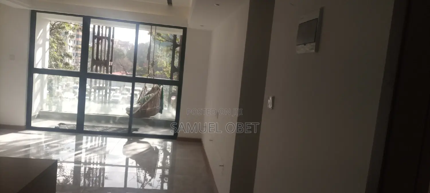 Building and Renovation Services