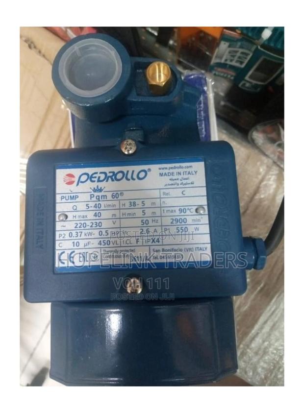 Pedrollo Water Pump - Blue 0.5hp,Pkm 60,40m Head, Sunction - main view