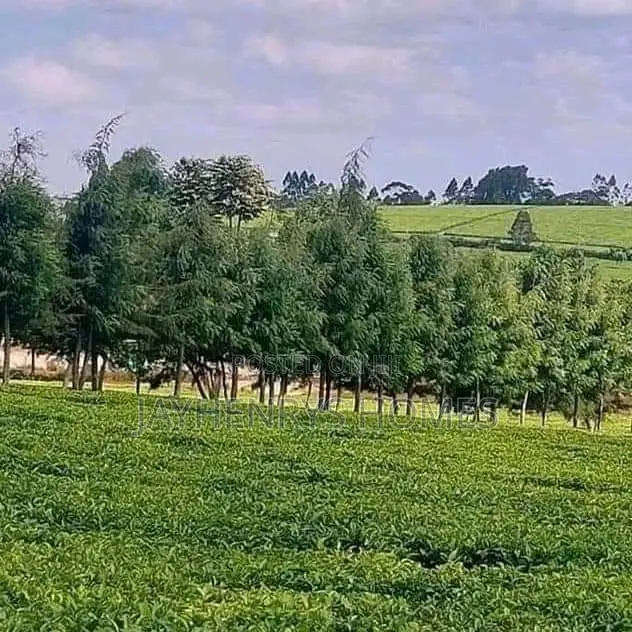 12.5 Acres for Sale in Riara Ridge,Tigoni at Kes 225m