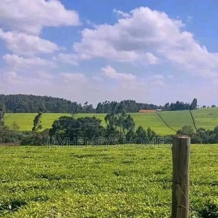12.5 Acres for Sale in Riara Ridge,Tigoni at Kes 225m