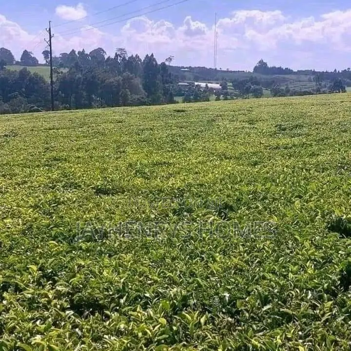 12.5 Acres for Sale in Riara Ridge,Tigoni at Kes 225m