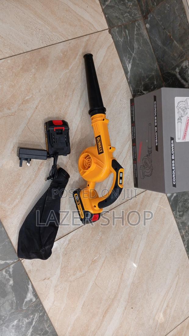 Professional Dewalt Blower - main view