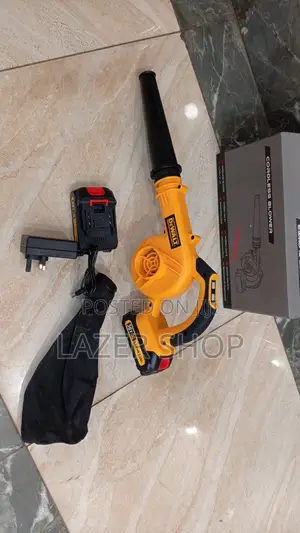 Professional Dewalt Blower