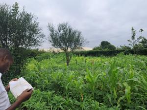 Plot for Sale - thumbnail 2