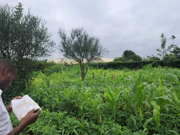 Plot for Sale - main view