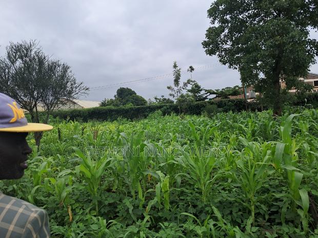 Plot for Sale - thumbnail 3