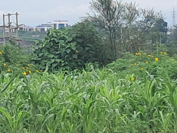 Plot for Sale - thumbnail 5