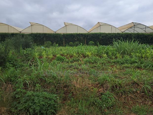 Plot for Sale - thumbnail 6