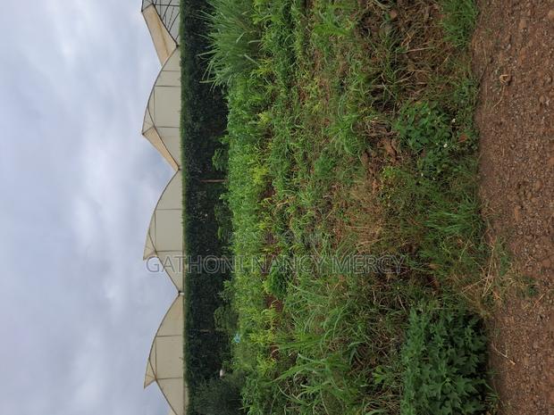 Plot for Sale - thumbnail 8