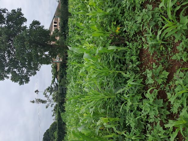 Plot for Sale - thumbnail 9