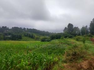 1 Acre Kauurai - thumbnail 2