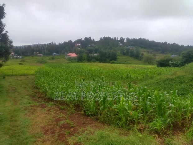 1 Acre Kauurai - thumbnail 4