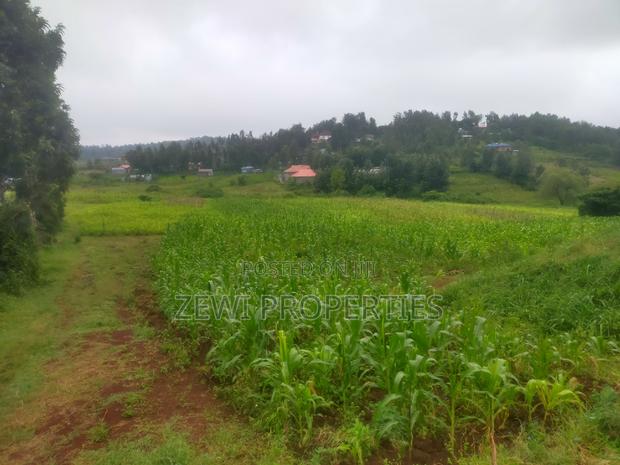 1 Acre Kauurai - thumbnail 5